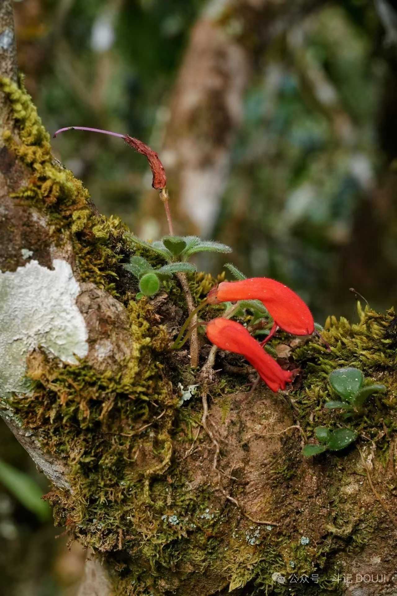 d3516eb3deed262ee42aa5ac45ef3236_1766620