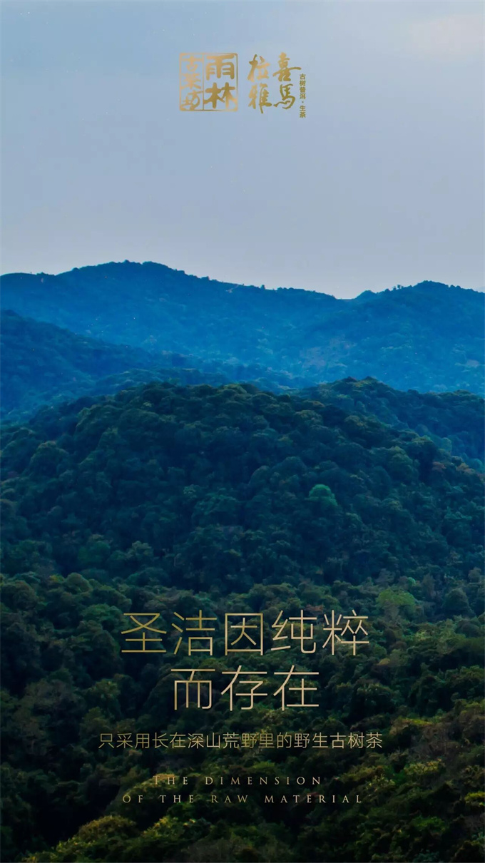 d7ee8b88ad5e4b806e6dcc25d65f7a3c_1764555