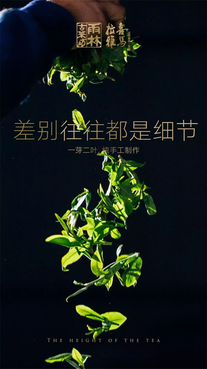 d7ee8b88ad5e4b806e6dcc25d65f7a3c_1764556