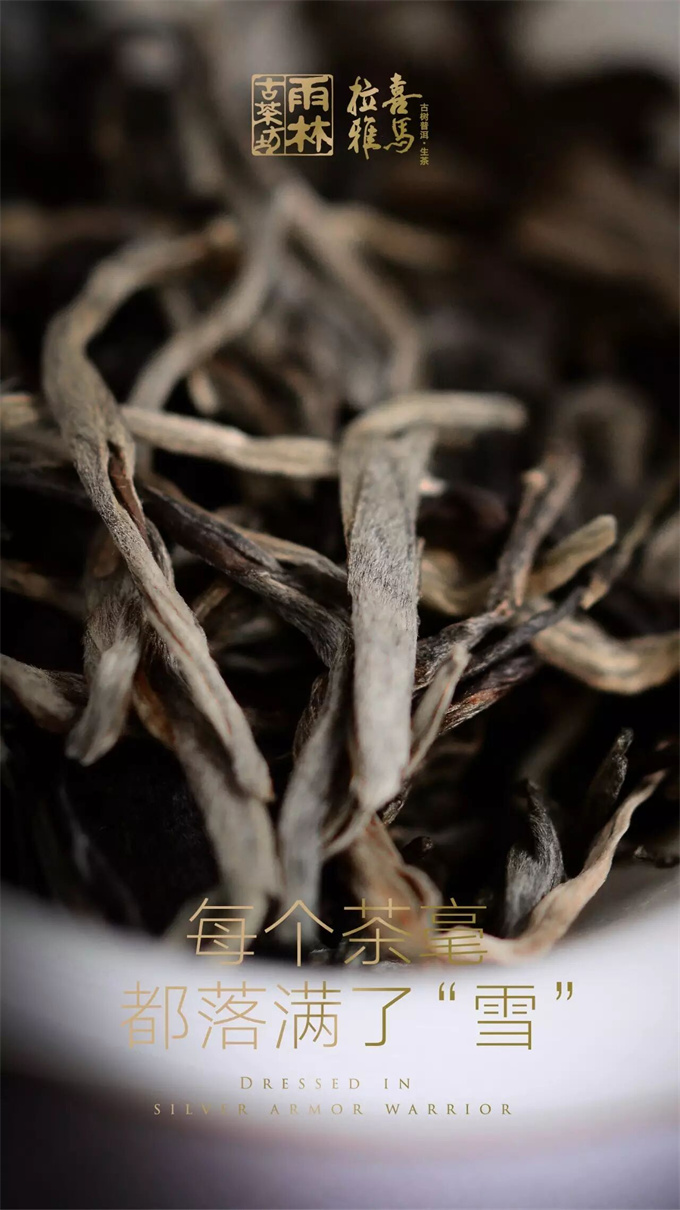 d7ee8b88ad5e4b806e6dcc25d65f7a3c_1764556