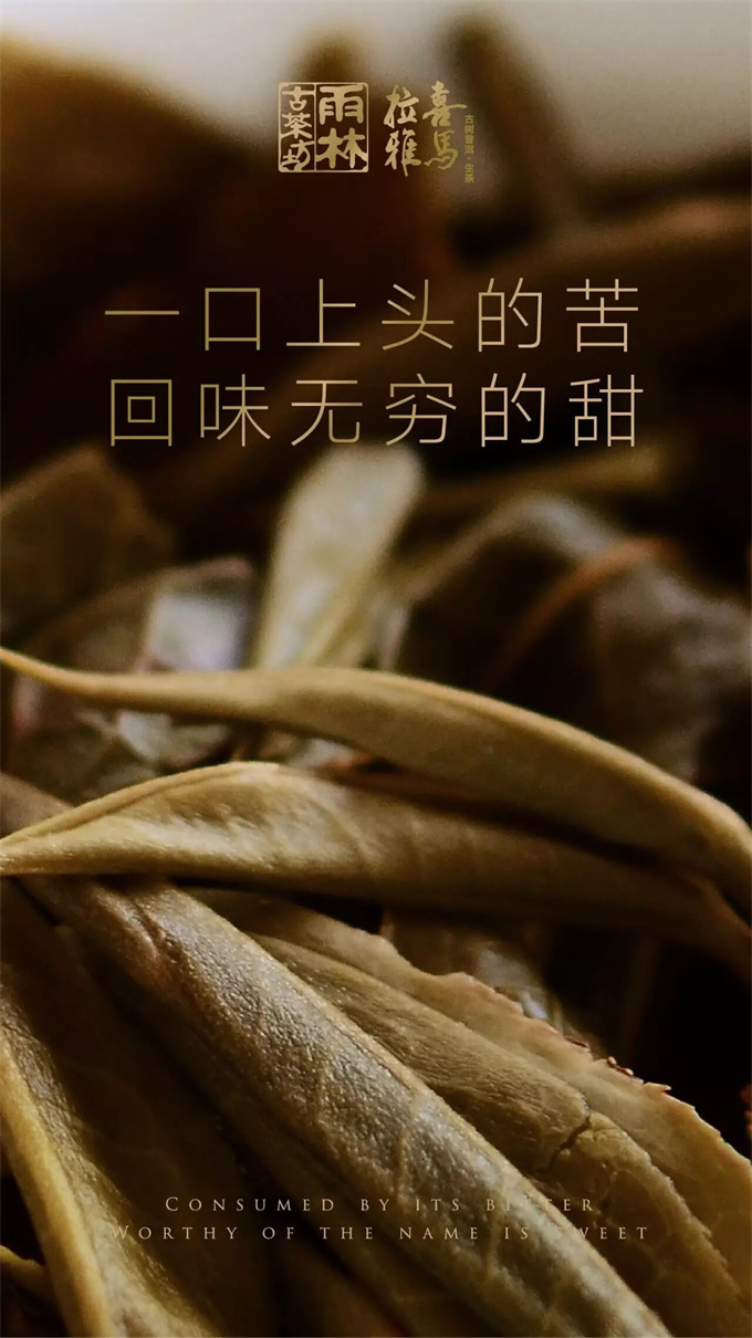 d7ee8b88ad5e4b806e6dcc25d65f7a3c_1764556