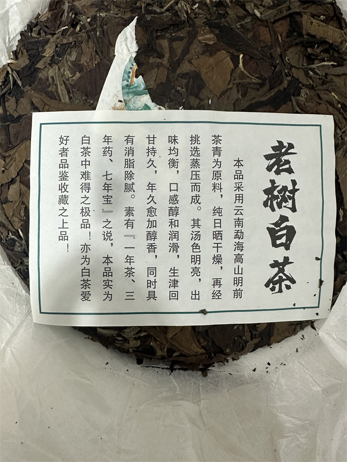 6168eb026e32eec77aafb7d73f039d73_1769685