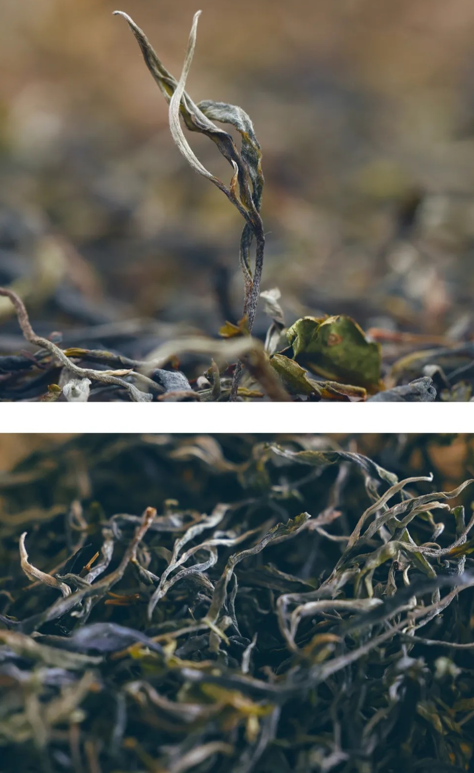 2672750672af633fe235a1c34ae39d89_1770940