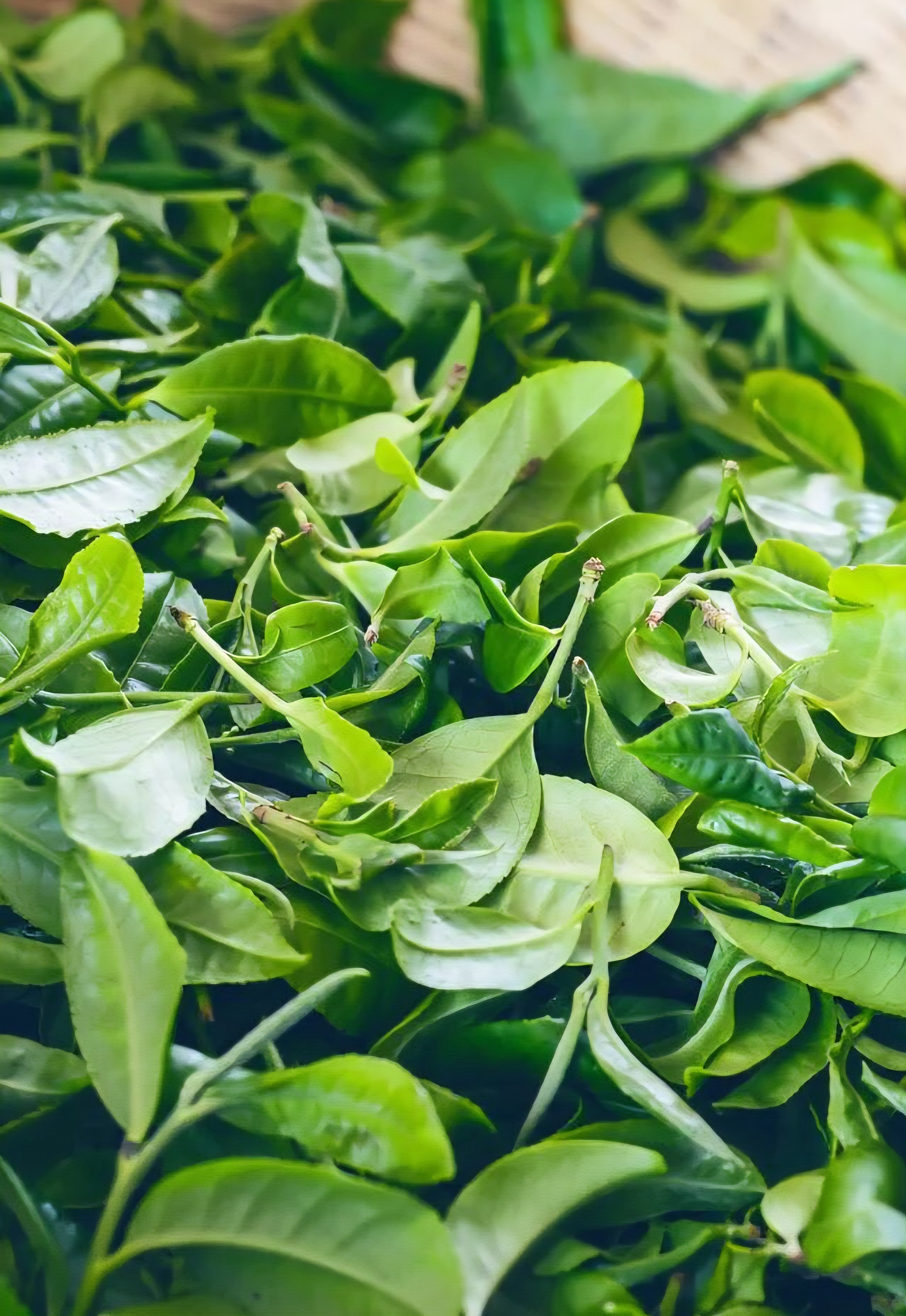 2672750672af633fe235a1c34ae39d89_1770940