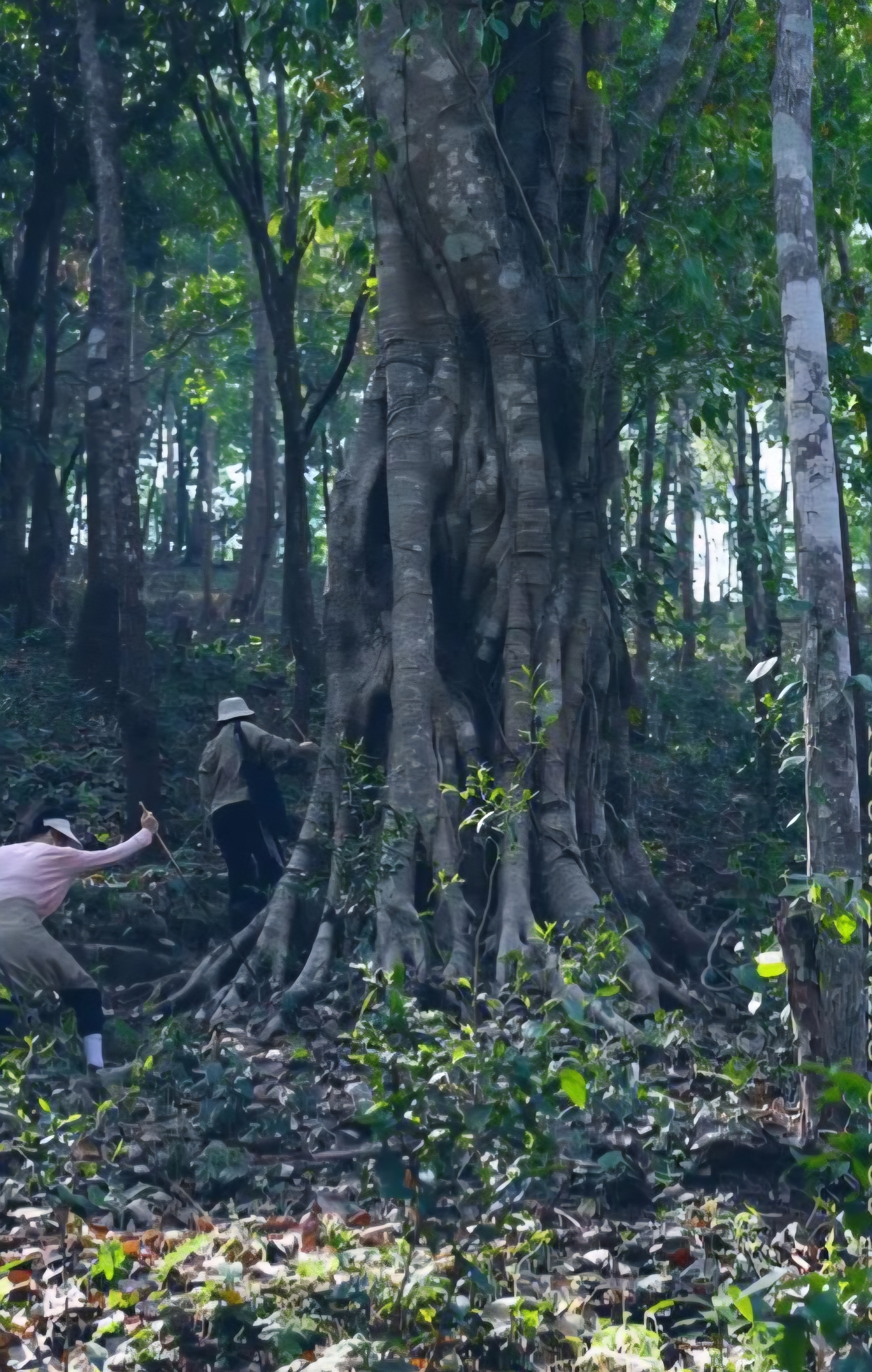 2672750672af633fe235a1c34ae39d89_1770940