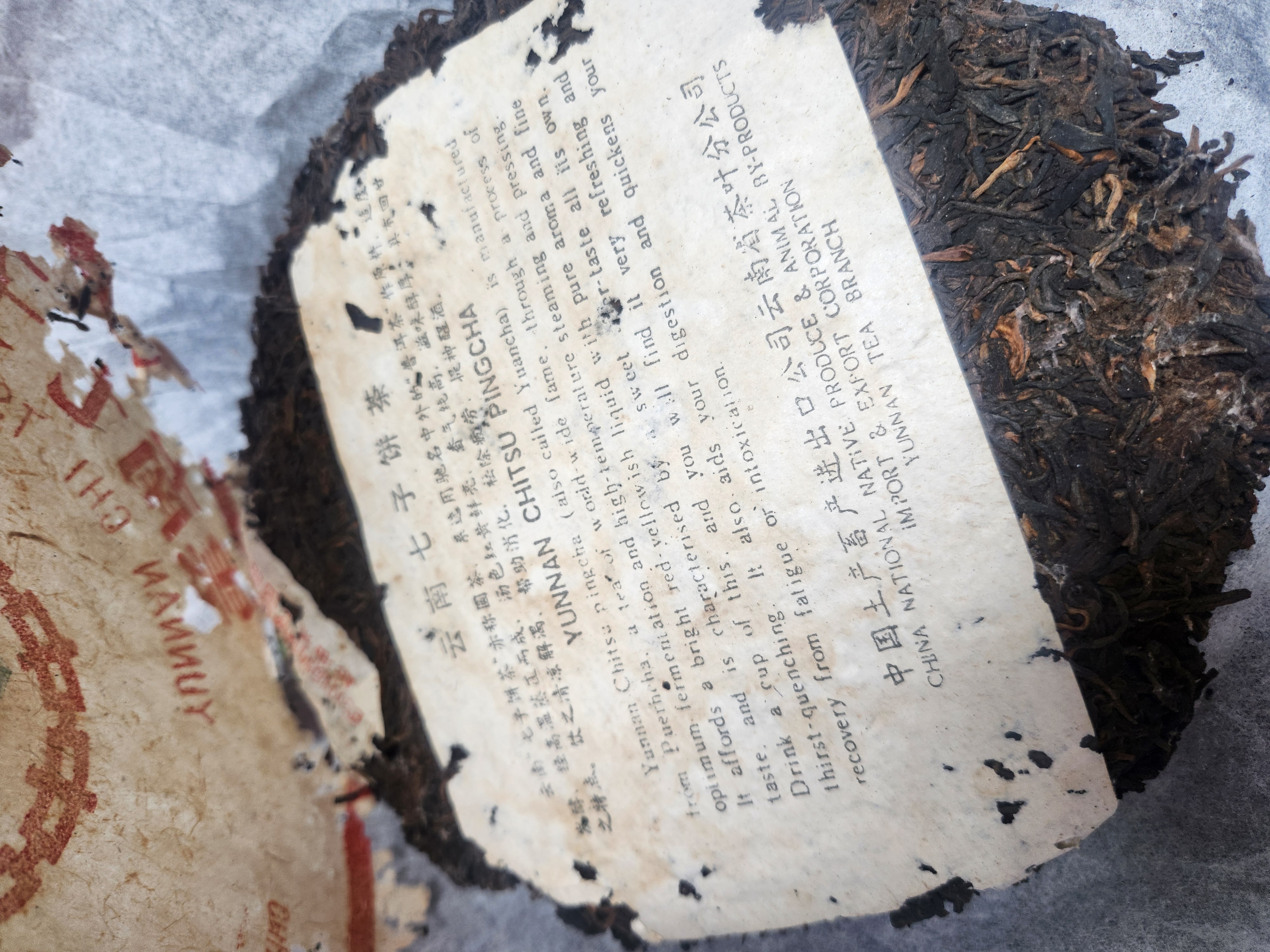 4099b3bfd1c92eed459cc2d8a9bd7ac7_1770762