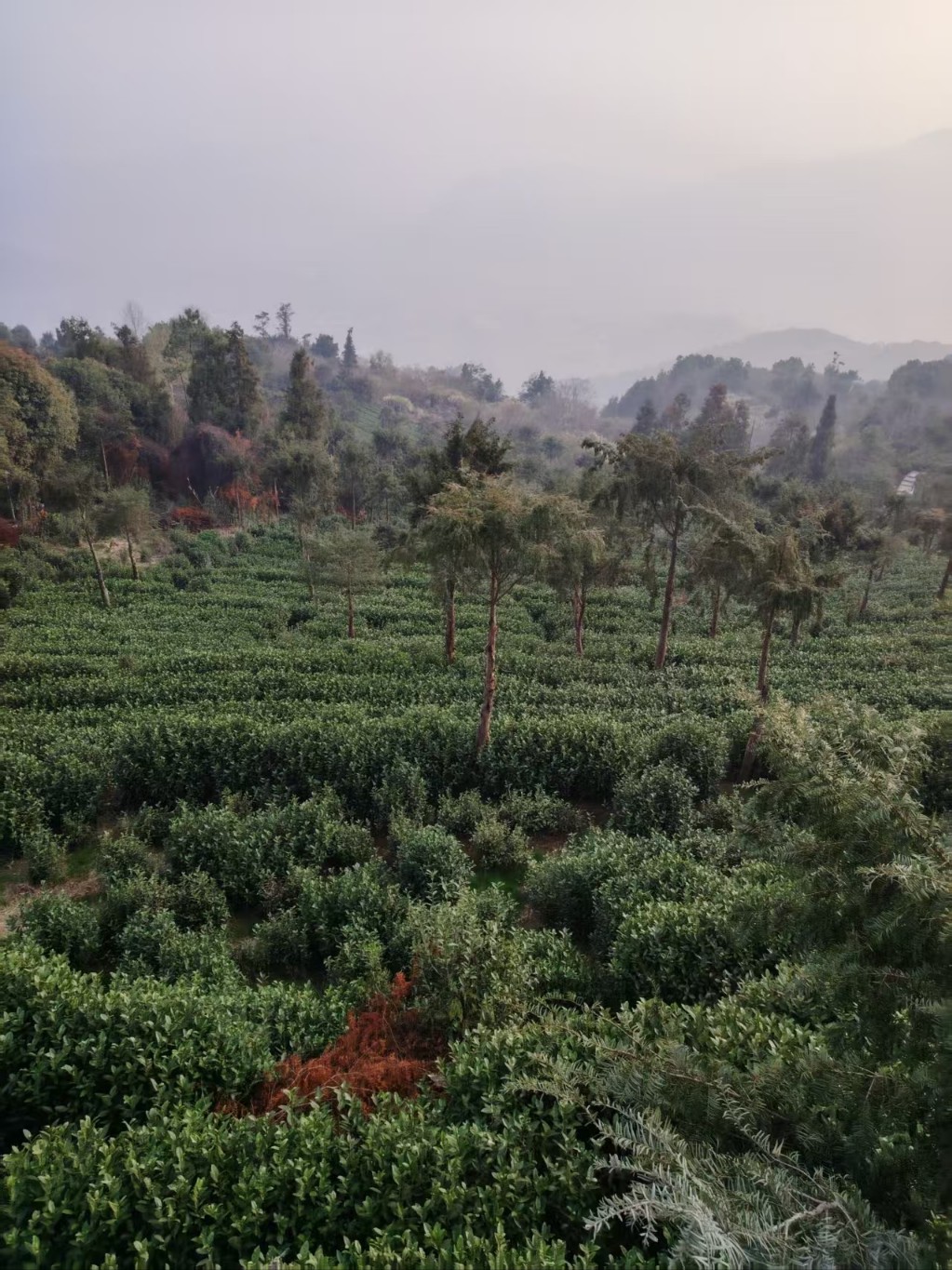 23c85fdbcba76ae440f5b2a02bb8f93f_1774589