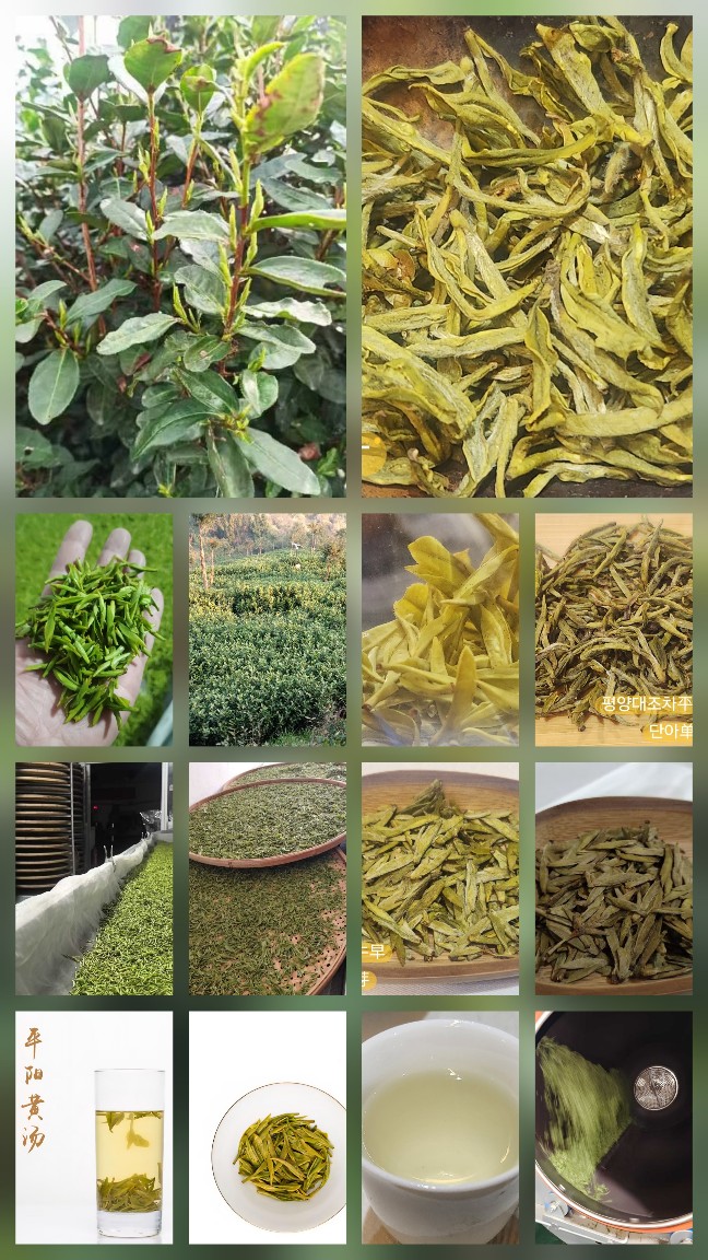 23c85fdbcba76ae440f5b2a02bb8f93f_1774589