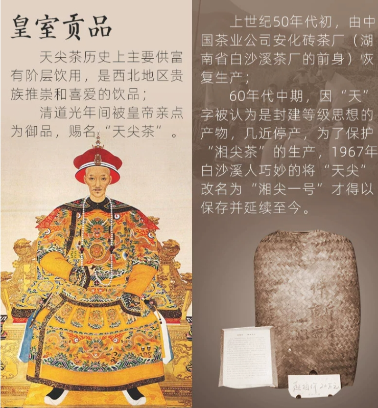 32c837a0394fb0e543be1a1852fc3492_1774375