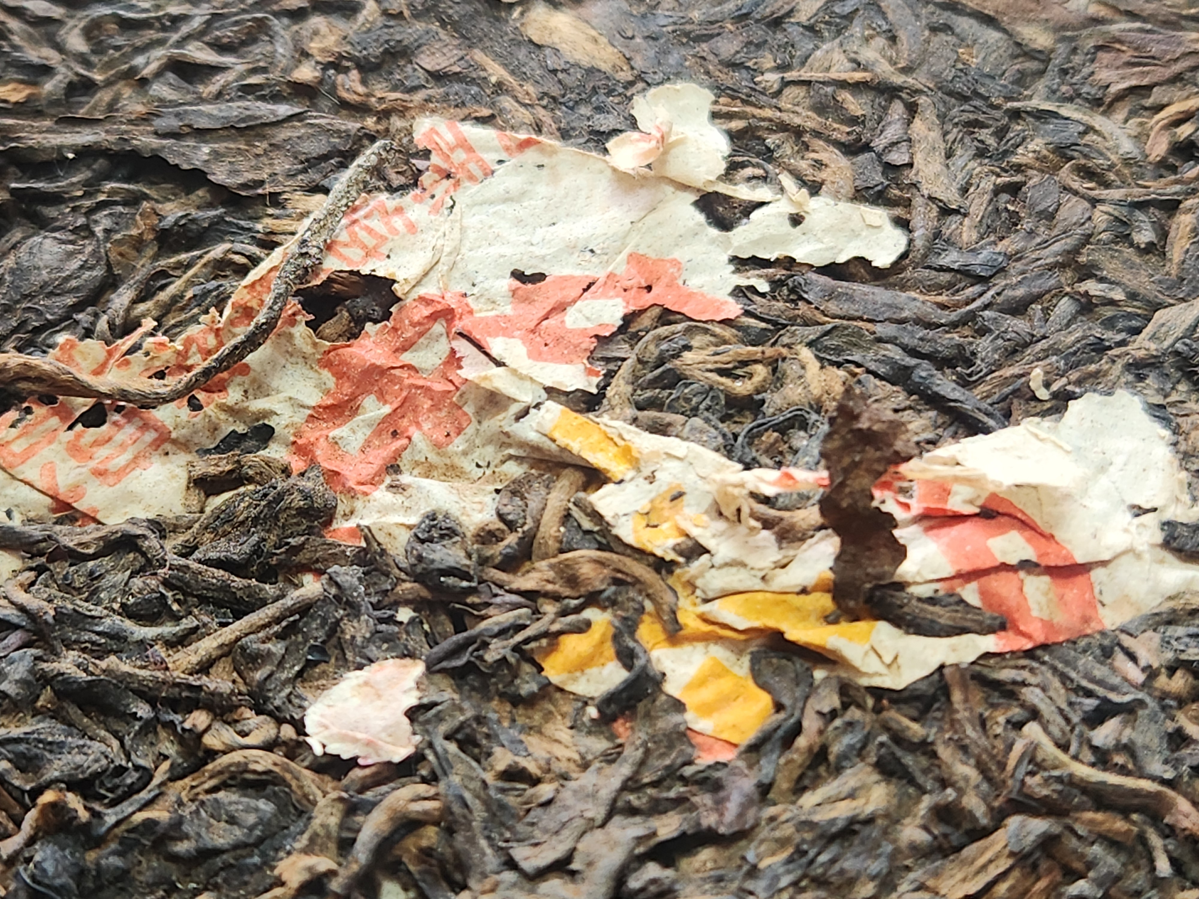 67c2561e248b7b697f946cd83bf5a63b_1773923