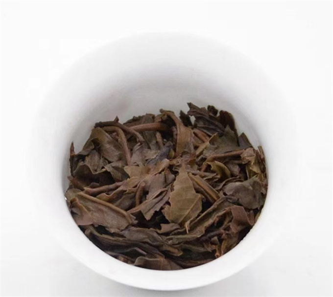 79729738b1dd4794b63a05fac817a85c_1773905