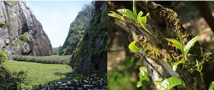 79dcbd51ec918d93493858cbfa3a0412_1774843791_2488.jpg 79dcbd51ec918d93493858cbfa3a0412_1774843