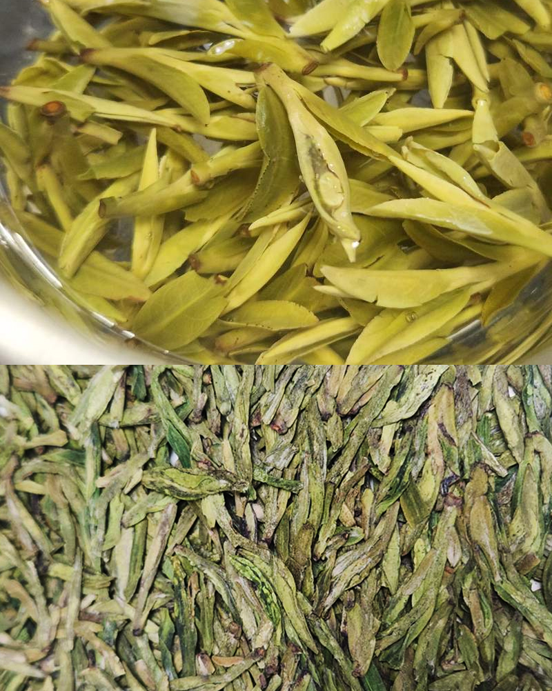 7e14531890724b8a323b105776b921f9_1774490