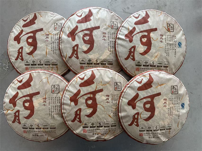 99fe35985a160a6699559bfec7349e23_1774335