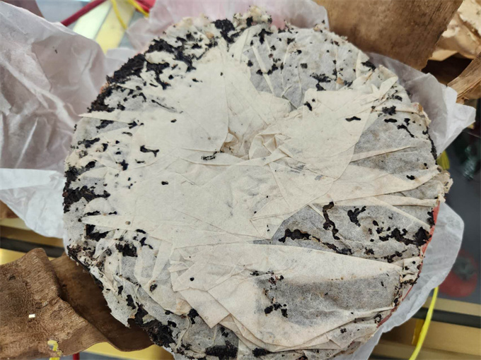 decbdd814c8f0e86e224f0ac9ffb06be_1773730