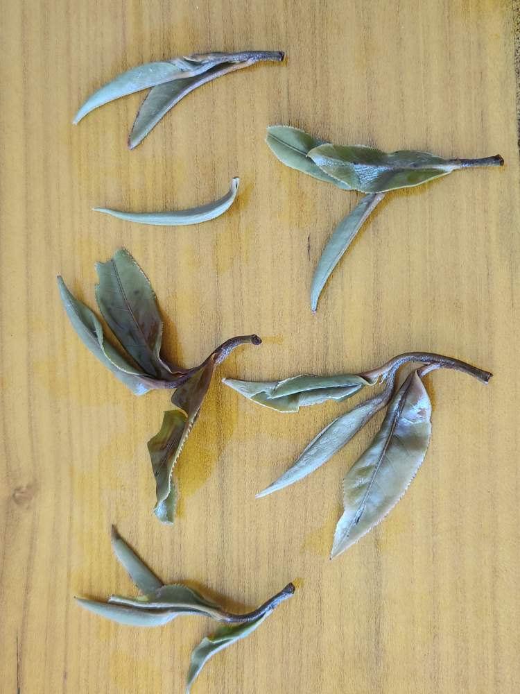 5206d6773e0f87526c57dbb77be1e3c0_1775714165_3106.jpg 5206d6773e0f87526c57dbb77be1e3c0_1775714