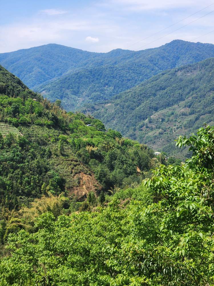 5206d6773e0f87526c57dbb77be1e3c0_1775714181_8329.jpg 5206d6773e0f87526c57dbb77be1e3c0_1775714