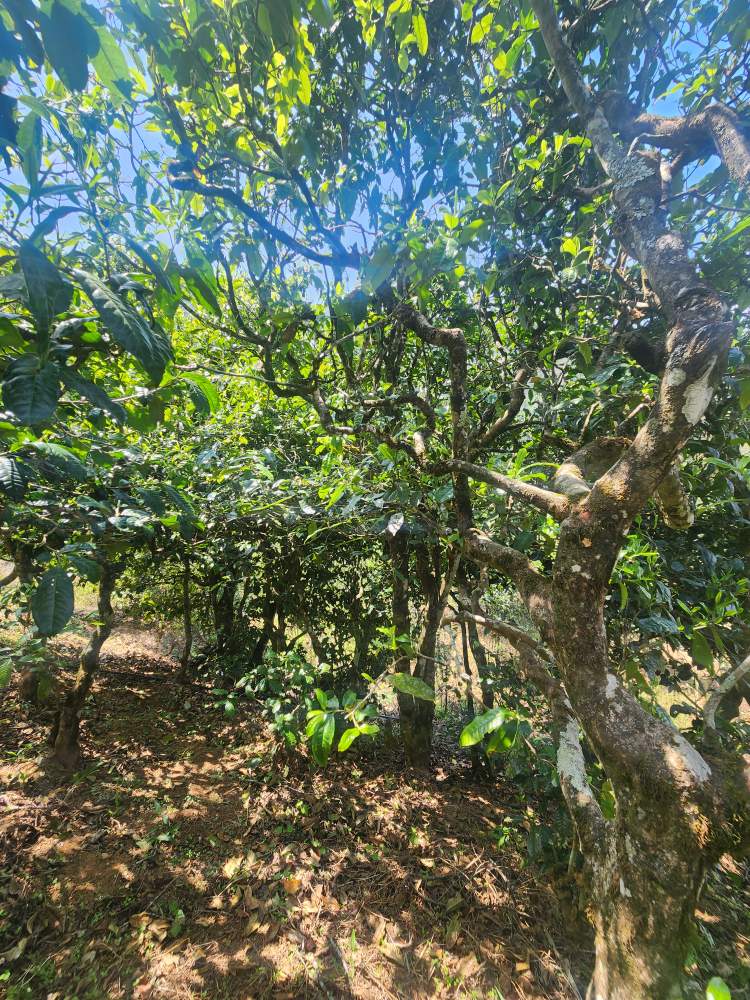 5206d6773e0f87526c57dbb77be1e3c0_1775714181_8978.jpg 5206d6773e0f87526c57dbb77be1e3c0_1775714