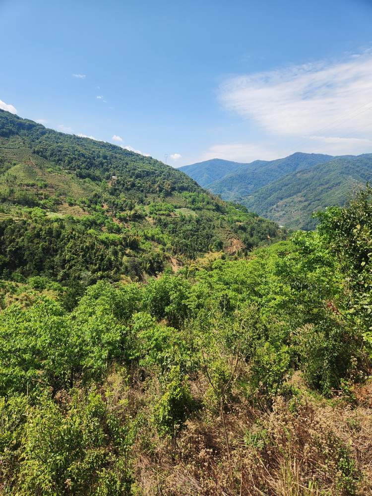 5206d6773e0f87526c57dbb77be1e3c0_1775714182_1616.jpg 5206d6773e0f87526c57dbb77be1e3c0_1775714