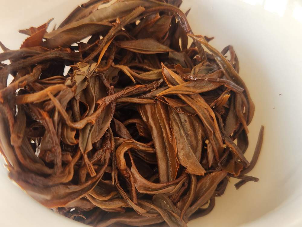 5206d6773e0f87526c57dbb77be1e3c0_1775720