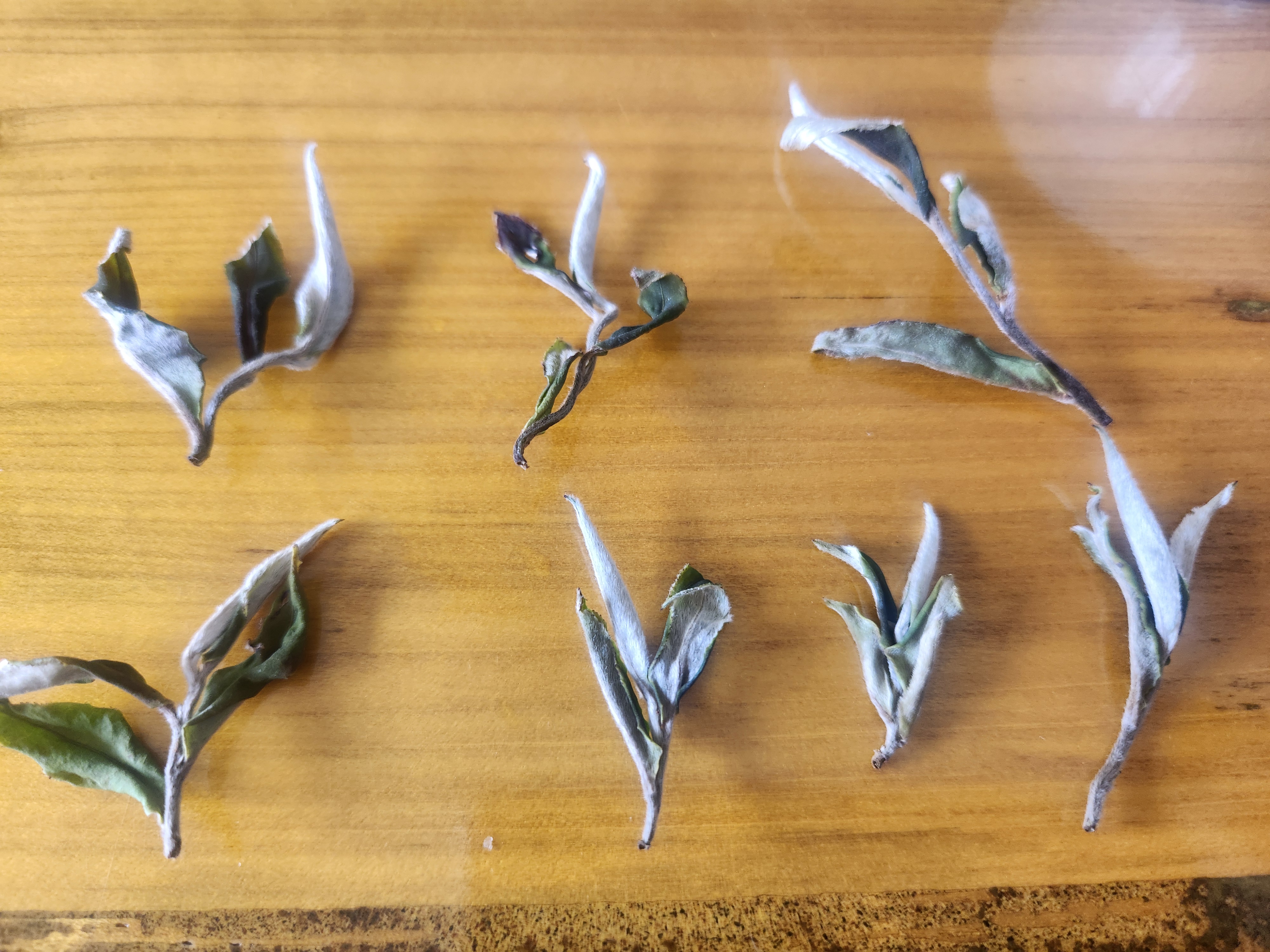 b0f5e9318221fcbd578075c1c7f5706c_1775717844_3275.jpg b0f5e9318221fcbd578075c1c7f5706c_1775717