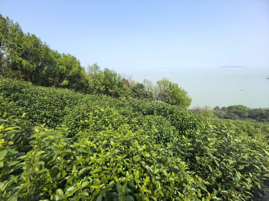 b3e5769cf1d3af78bd97491329623ff3_1775524038_4279.jpg b3e5769cf1d3af78bd97491329623ff3_1775524