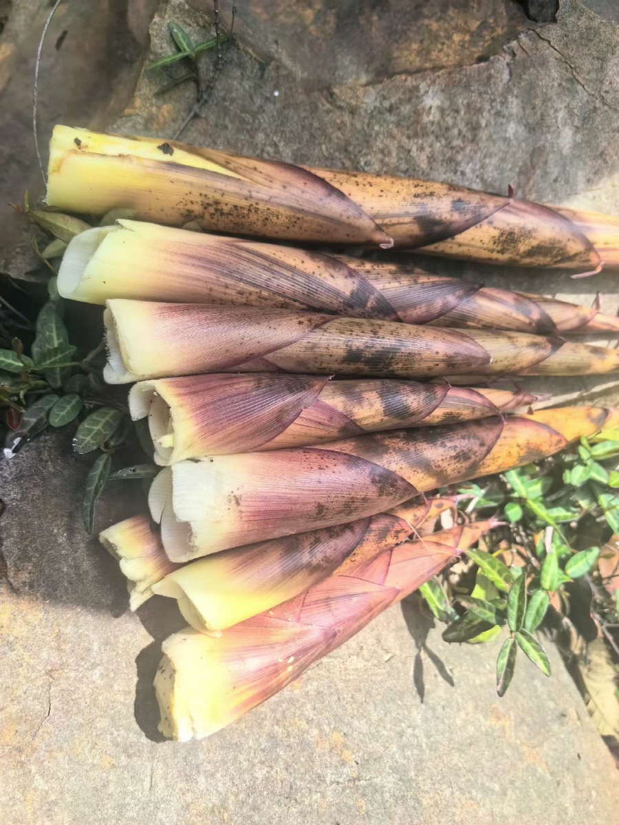 b3e5769cf1d3af78bd97491329623ff3_1775524038_9252.jpg b3e5769cf1d3af78bd97491329623ff3_1775524