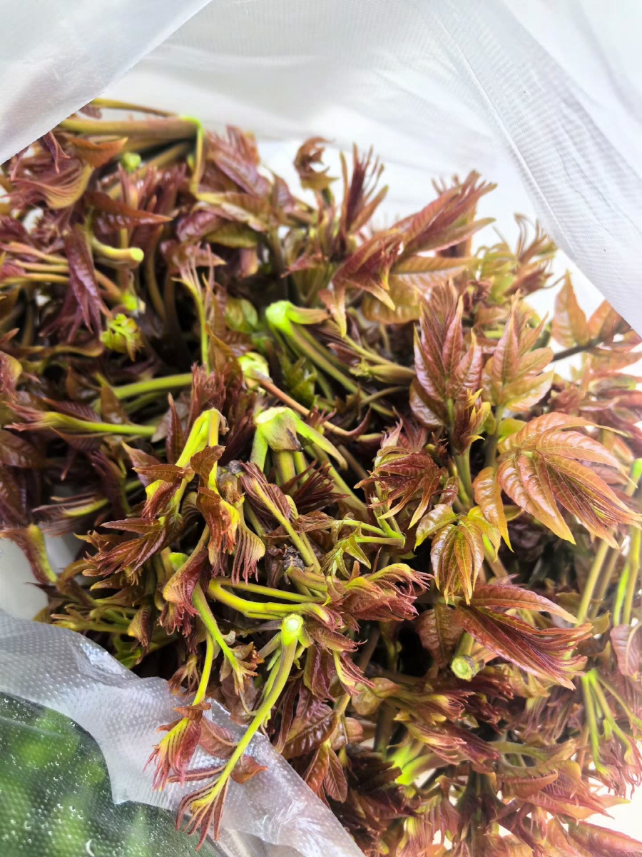 b3e5769cf1d3af78bd97491329623ff3_1775524038_9976.jpg b3e5769cf1d3af78bd97491329623ff3_1775524