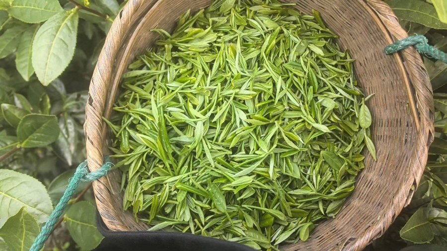 b3e5769cf1d3af78bd97491329623ff3_1775524039_0616.jpg b3e5769cf1d3af78bd97491329623ff3_1775524