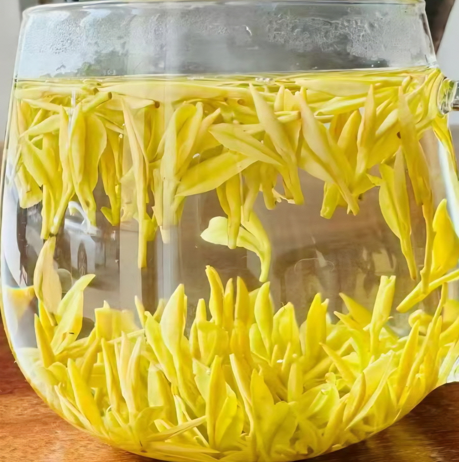 b3e5769cf1d3af78bd97491329623ff3_1775541