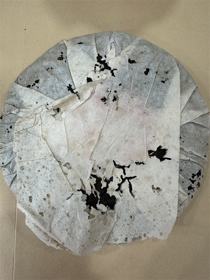 c12f8525a9e79fcb9c151c507d32bf4f_1776682