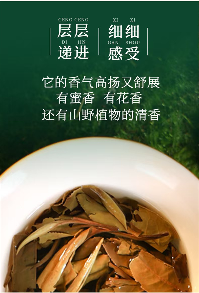 2d897264c55c2dd61c71812618ed7abc_1787299927_6069.jpg 2d897264c55c2dd61c71812618ed7abc_1787299