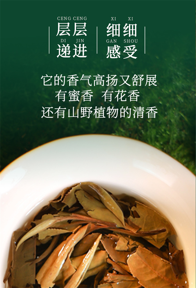 2d897264c55c2dd61c71812618ed7abc_1787301411_7969.jpg 2d897264c55c2dd61c71812618ed7abc_1787301