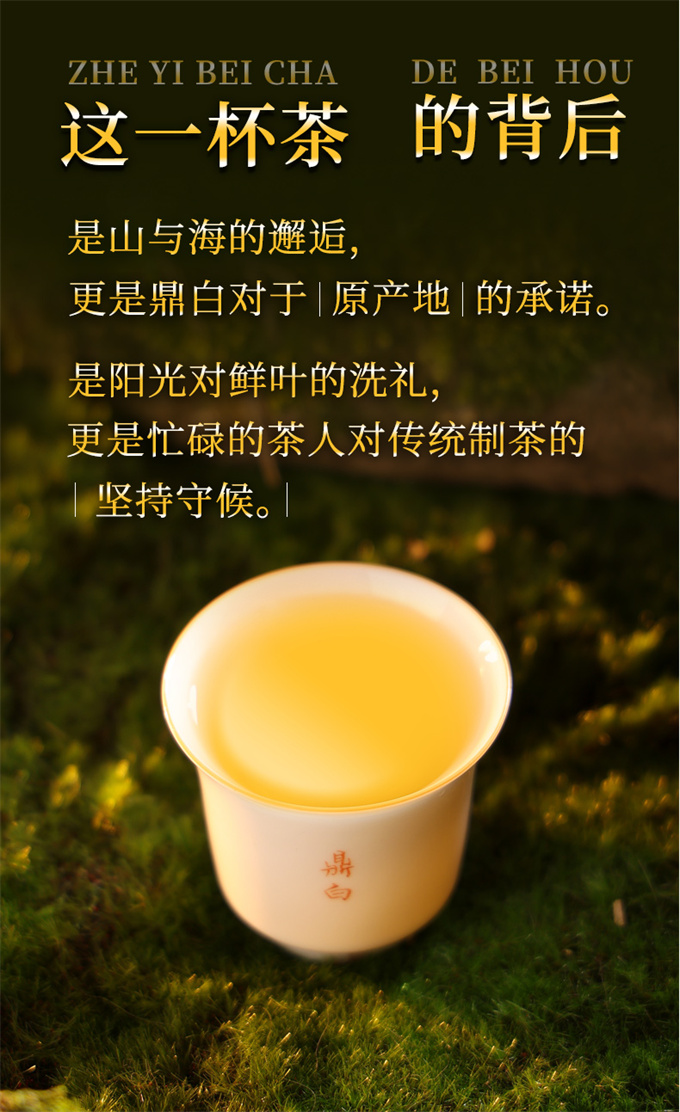 2d897264c55c2dd61c71812618ed7abc_1787301412_0599.jpg 2d897264c55c2dd61c71812618ed7abc_1787301