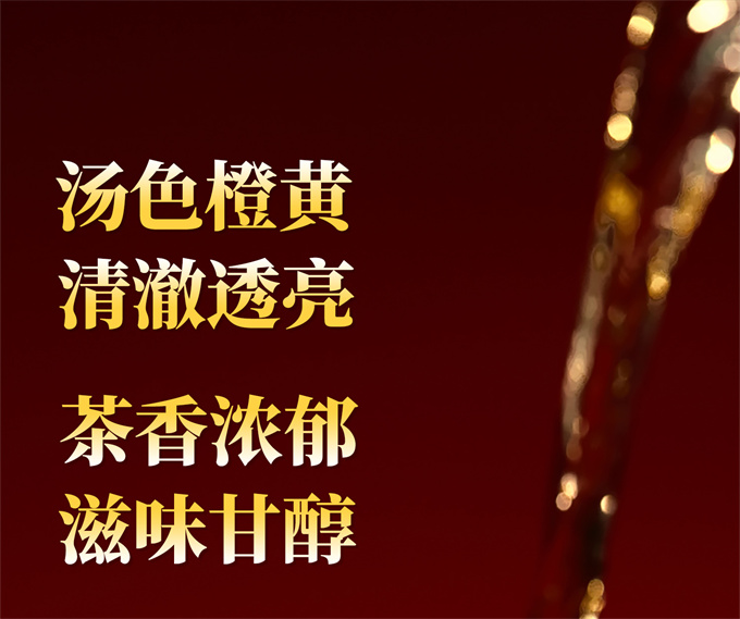5e2ed339e47afcc087d656d422a26f4a_1786612