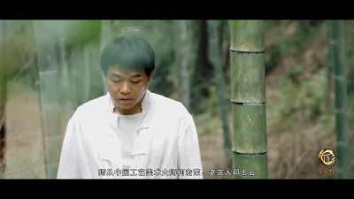5fd7f7825848811d646bd9fb6520b785_1786834878_9106.gif