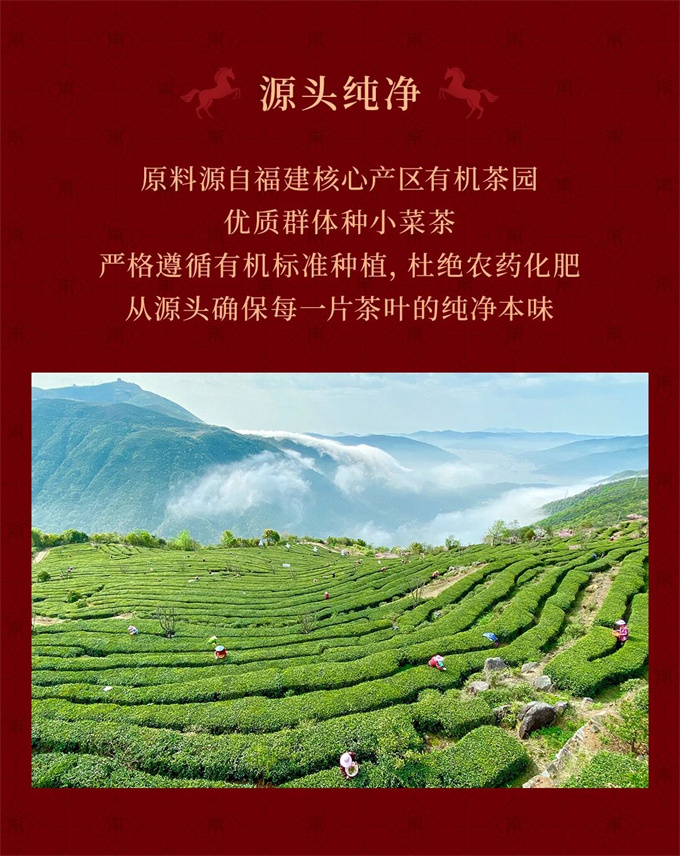695f79f29d10fb163b5213c48abd3e5f_1786939472_0714.jpg 695f79f29d10fb163b5213c48abd3e5f_1786939