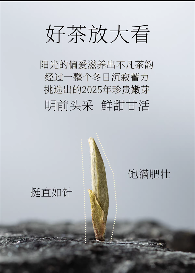 6cd1019962ffd634d7b310cc5ec66bcf_1787570156_9487.png 6cd1019962ffd634d7b310cc5ec66bcf_1787570