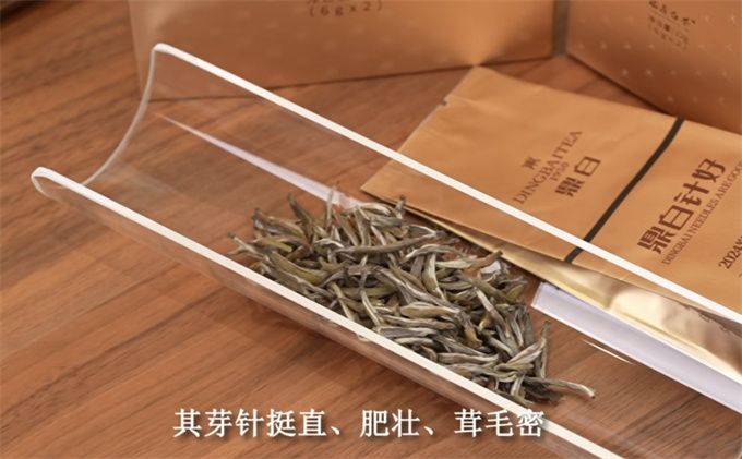 6cd1019962ffd634d7b310cc5ec66bcf_1787571003_9761.jpg 6cd1019962ffd634d7b310cc5ec66bcf_1787571