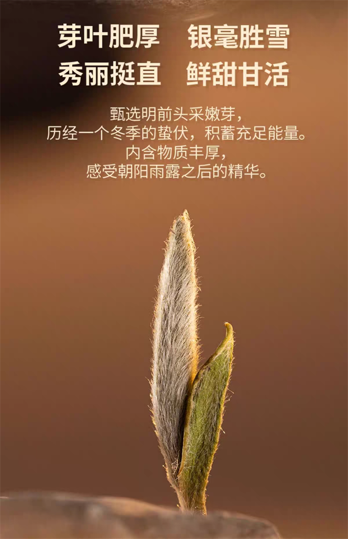 9f8524614839e7730cfeefc278ce4d30_1787801678_7523.png 9f8524614839e7730cfeefc278ce4d30_1787801