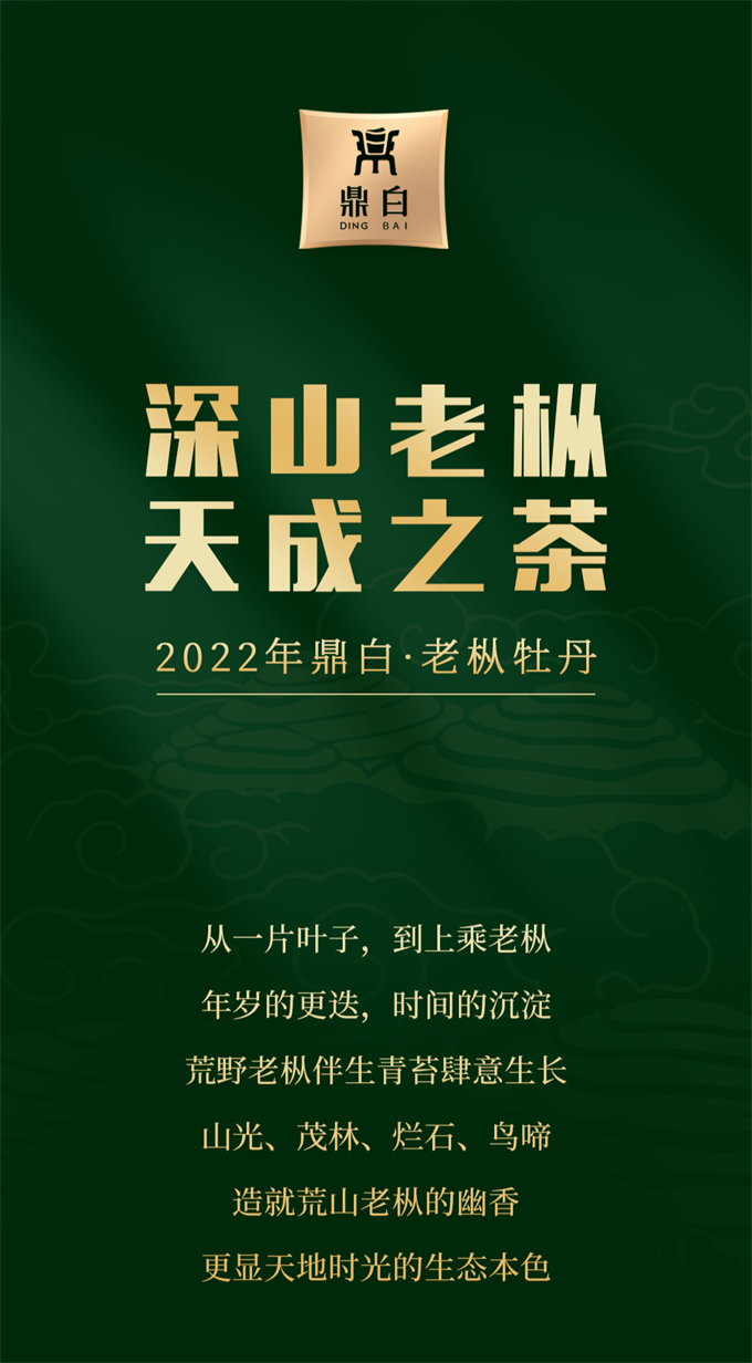 c2de8e4292cced986f02b34bf85661a5_1787409280_4093.png c2de8e4292cced986f02b34bf85661a5_1787409
