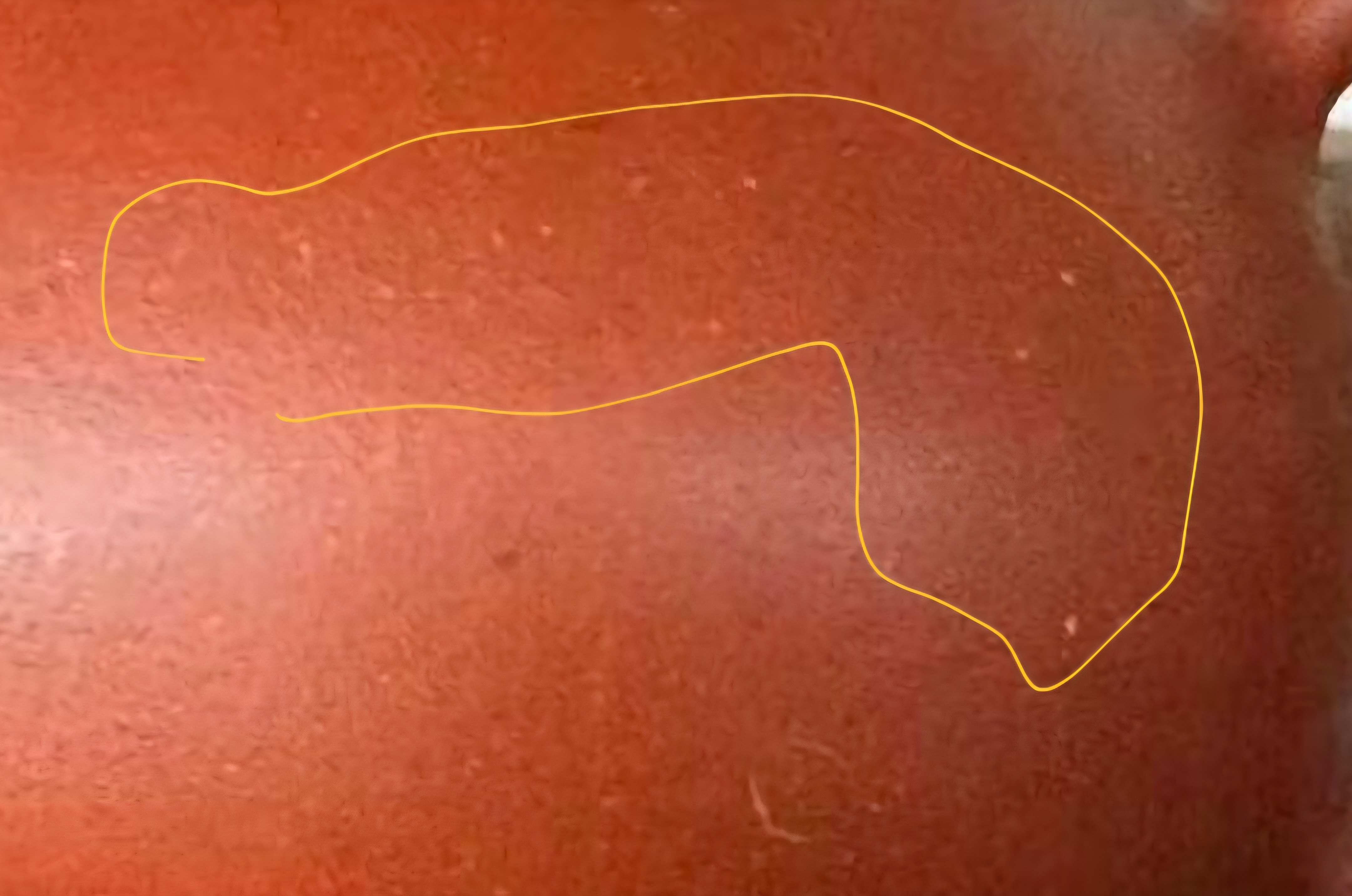 bc0aa30fd4d64ba916aeaa565bceff44_1788584765_083.jpg bc0aa30fd4d64ba916aeaa565bceff44_1788584