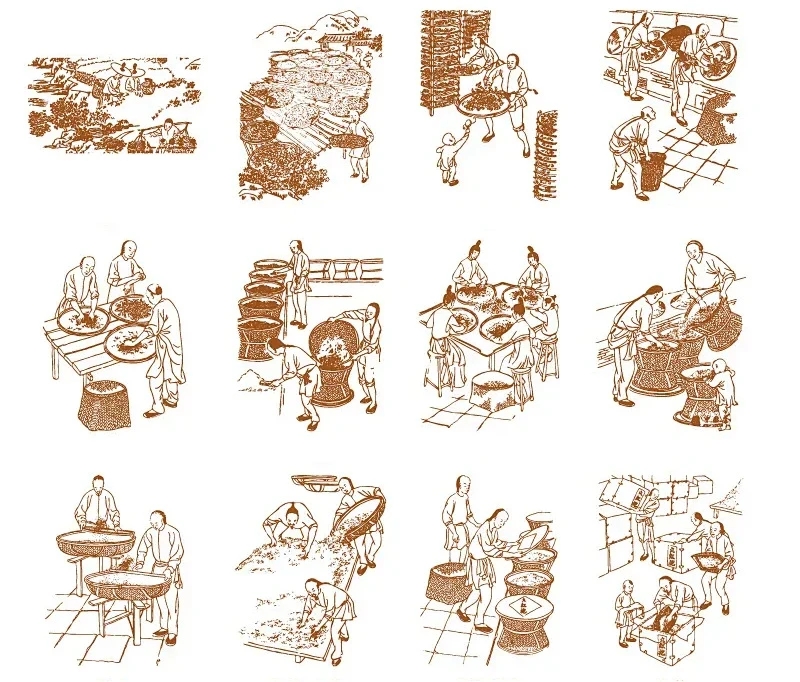 [70년 등장 필수 수장각] 17년 1953 천첨 건강과 맛을 모두 잡았습니다.