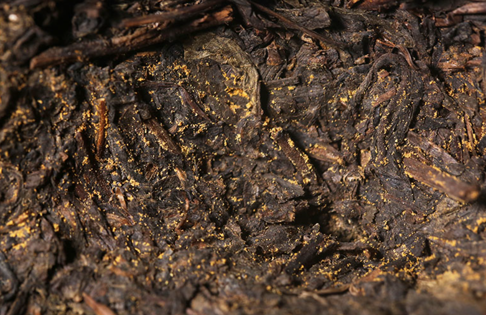 [백사계] 2023년 천복차 1kg