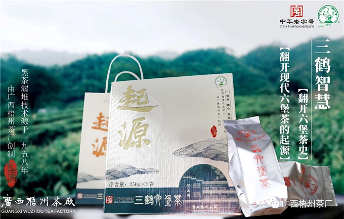 [오주차창] 19년 기원 1세트(250g x 2개) 삼학 육보차