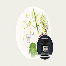 [공부차]아이보리얀 1101 고수차 경인명 300g