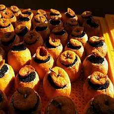 [한밭제다] 유자병차 30g, 40g