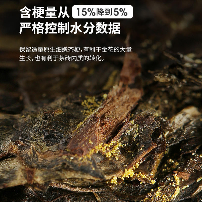 [유기농 백사계] 21년 쥔저위엔 전승복전 1kg
