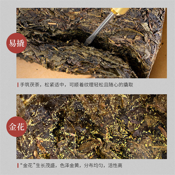 [유기농 백사계] 22년 쥔저위엔 유기복차 1kg