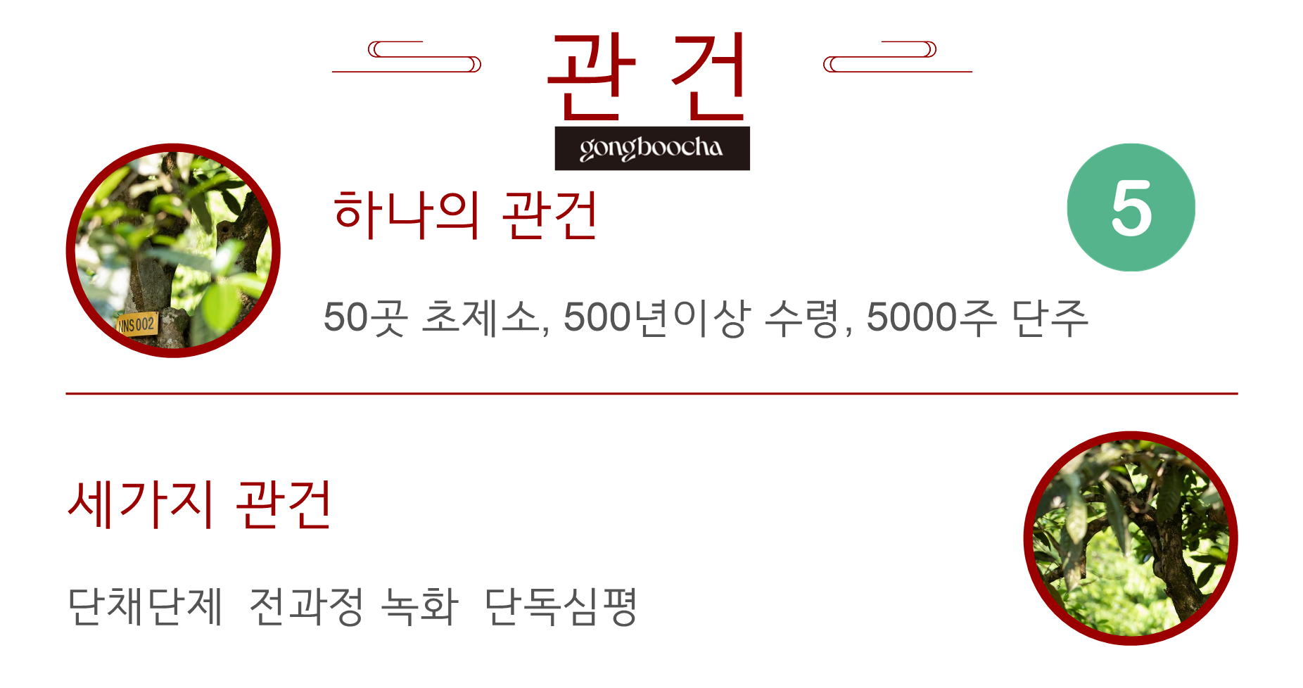 [강맹풍 단주] 21년 2101 태원두 청병 200g  146만원